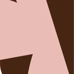 Stookin 8X 12ft ,2 In 1 Colors Single Photography Backdrop(Brown & Pink 2 in 1) Reflector-20