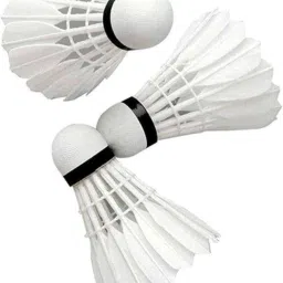 Shuttle cock white feather pack of 6 feather Shuttle-white Feather Shuttle - White-picture-14