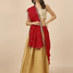 Dupatta Bazaar Embroidered Dupatta with Sequinned image 1