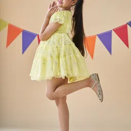 KidsDew Star Print Flutter Sleeve Net Fit & Flare Dress image 4