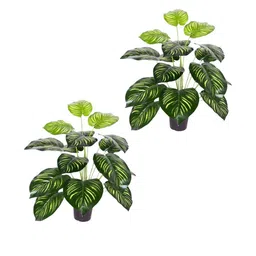Go Hooked Artificial Monstera Plant with Nursery Pot Pack of 2-18