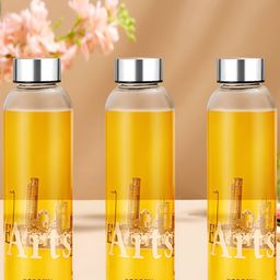 BOROSIL Transparent & Silver-Toned Set of 3 Glass Printed Water Bottle-34