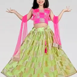 BAESD Girls Embroidered Ready to Wear Lehenga & Blouse With Dupatta-picture-47