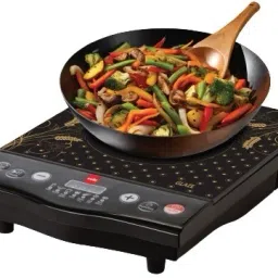 1600 W Induction Cooktop Push Button-10
