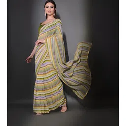 CANIZZARO Striped Sequinned Pure Georgette Saree-picture-19