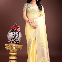 Astita Saree with Zari Border & Contrast Tassels-55