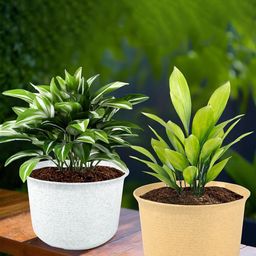 Kuber Industries White & Beige 2 Pieces Textured Planters With Pot-8