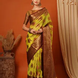 DIVASTRI Woven Design Zari Pure Silk Banarasi Saree-image-28