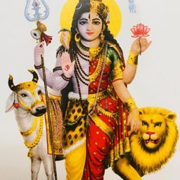 SHOP BY ROOM Multicoloured Ceramic Spiritual Wall Decor-image-53