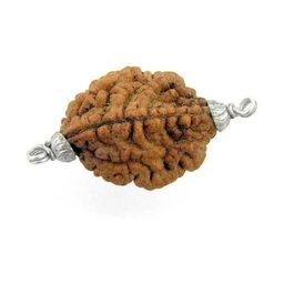 RAVIOUR LIFESTYLE Unisex Brown Pendant-picture-25