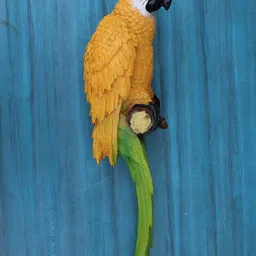 Vikarafty Orange Birds and Animals Curio Showpiece-image-11