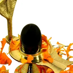 Navyaksh Black & Gold Toned Religious Shivling Showpiece-7
