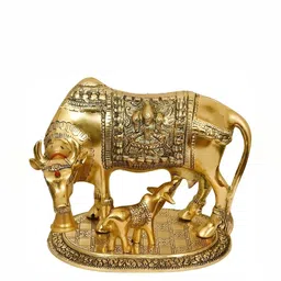Navyaksh Gold Toned Brass Decorative Showpiece-12