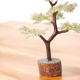 Shubhanjali Green Fengshui Figurine Showpiece-image-101