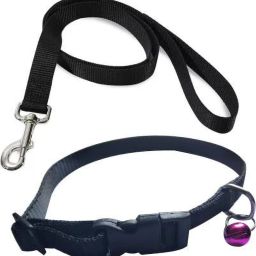 Good Quality 1/2 inch Black Designed Puppy Belt, Collar Belt, Dog Harness & Leash-image-78