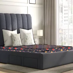 Stylista Grey & Red Cotton Water Resistant Zippered Queen Mattress Protector-image-23