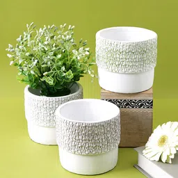 TAYHAA White 3 Pieces Textured Ceramic Planter-24