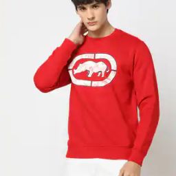 Logo Print Regular Fit Crew-Neck Sweatshirt-picture-24