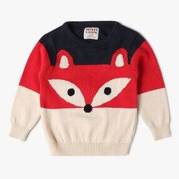 Fox Pattern Regular Fit Sweater-picture-33