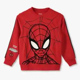 Boys Spiderman Print Regular Fit Round-Neck Sweatshirt-image-86