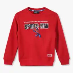 Boys Spider-Man Print Regular Fit Sweatshirt-picture-41