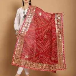 Women Printed Dupatta with Embellished Border-picture-20