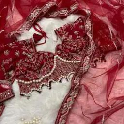 Women Embroidered Saree with Lace Border-image-39