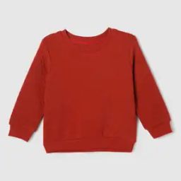 Boys Regular Fit Round-Neck Sweatshirt-picture-10