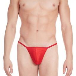 Thong Style Briefs-image-45