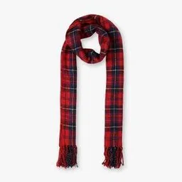 shyla Checked Winter Shawl with Fringes-picture-27
