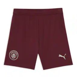 Manchester City Regular Fit Football Shorts-picture-14