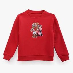 Boys Brand Embroidered Regular Fit Cotton Round-Neck Sweatshirt-picture-45