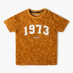 Boys Printed Regular Fit Round-Neck T-Shirt-image-44