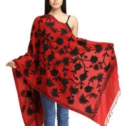 Women Embroidered Stole-image-61