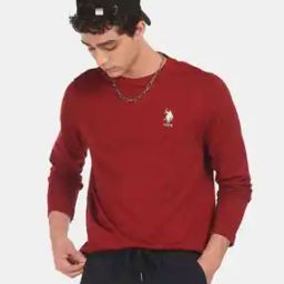 Regular Fit Cotton Crew Neck T-Shirt-picture-11