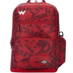 Men Back Pack-17