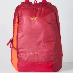 Men Laptop Back Pack-50