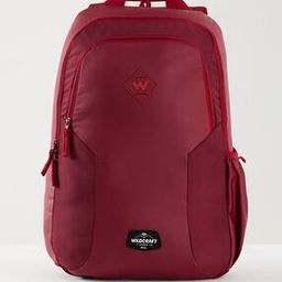 Men Laptop Back Pack-27