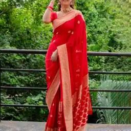 Women Woven Saree with Contrast Border-picture-24