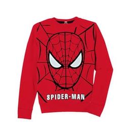 Spider-Man Print Crew-Neck Sweatshirt-35