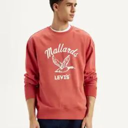 Men Graphic Print Regular Fit Sweatshirt-12