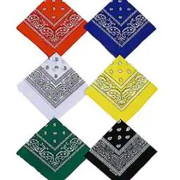 Pack of 6 Men Printed Bandanas-image-37