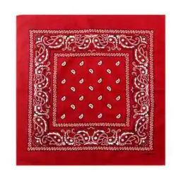 Men Printed Bandana-picture-24