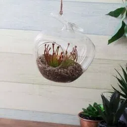 Artificial Plants with Glass Pot-image-53