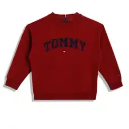 tommy hilfiger Boys Regular Fit Applique Sweatshirt-picture-47