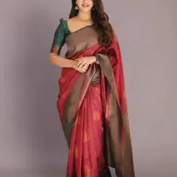 Banarasi Silk Kanjivaram Saree with Contrast Border-picture-25