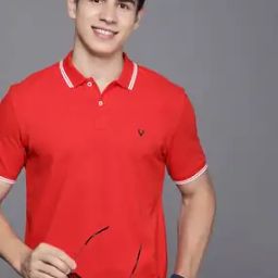 Polo T-Shirt with Logo Embroidery-image-5