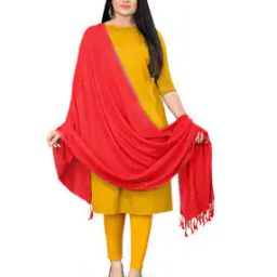 Women Embellished Dupatta with Tassels-picture-8
