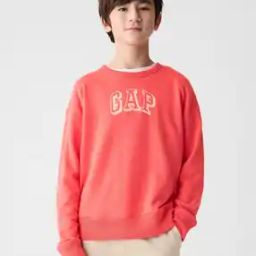 Crew-Neck Colorblock Sweatshirt with Logo Print-image-95
