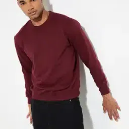 Men Regular Fit Crew-Neck Sweatshirt-45